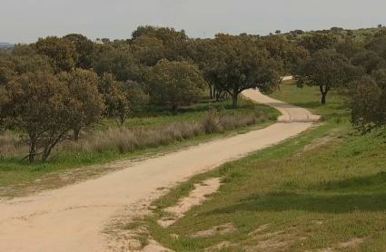 Cañadas, veredas y coladas